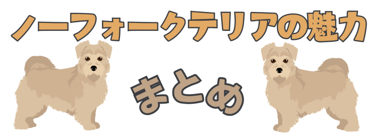 ノーフォークテリアの魅力まとめ
